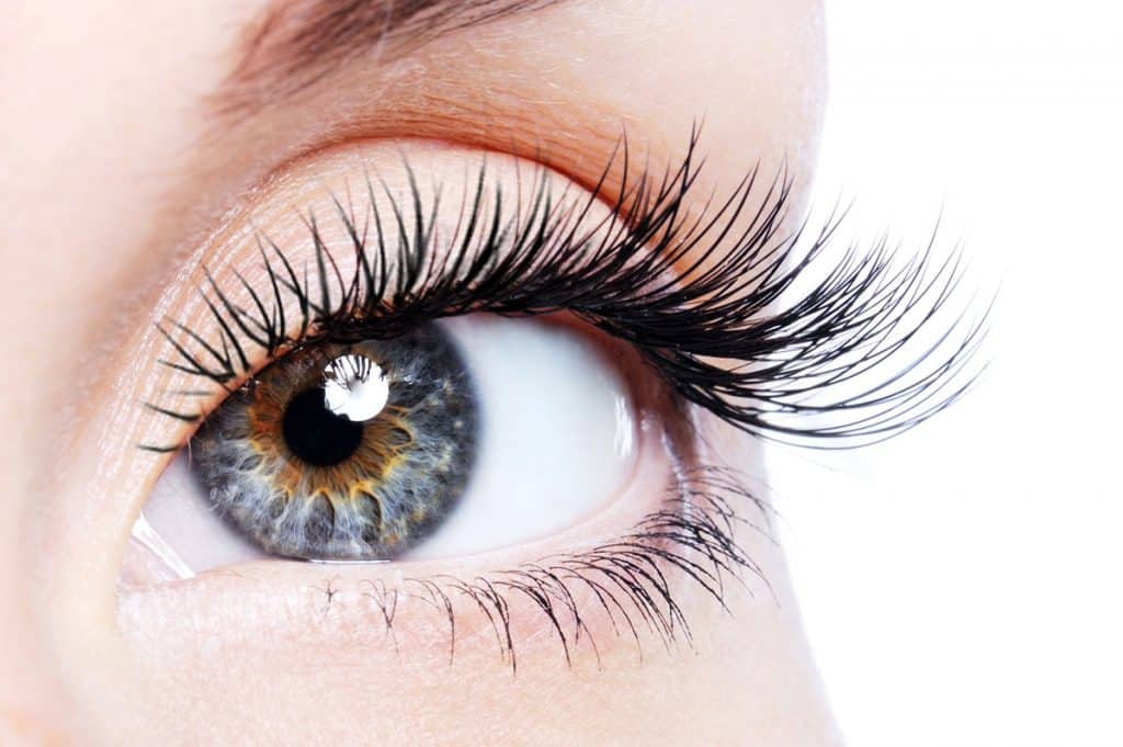 close up of woman's eye and eyelash extensions