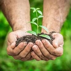man holding dirt with small plant in it